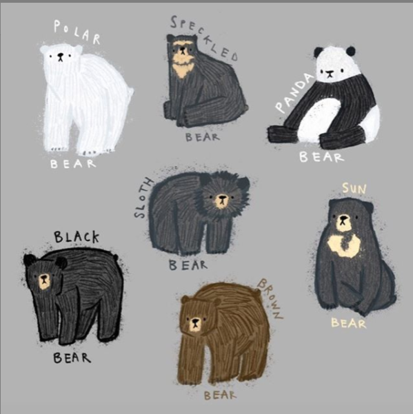 It's a Bear!